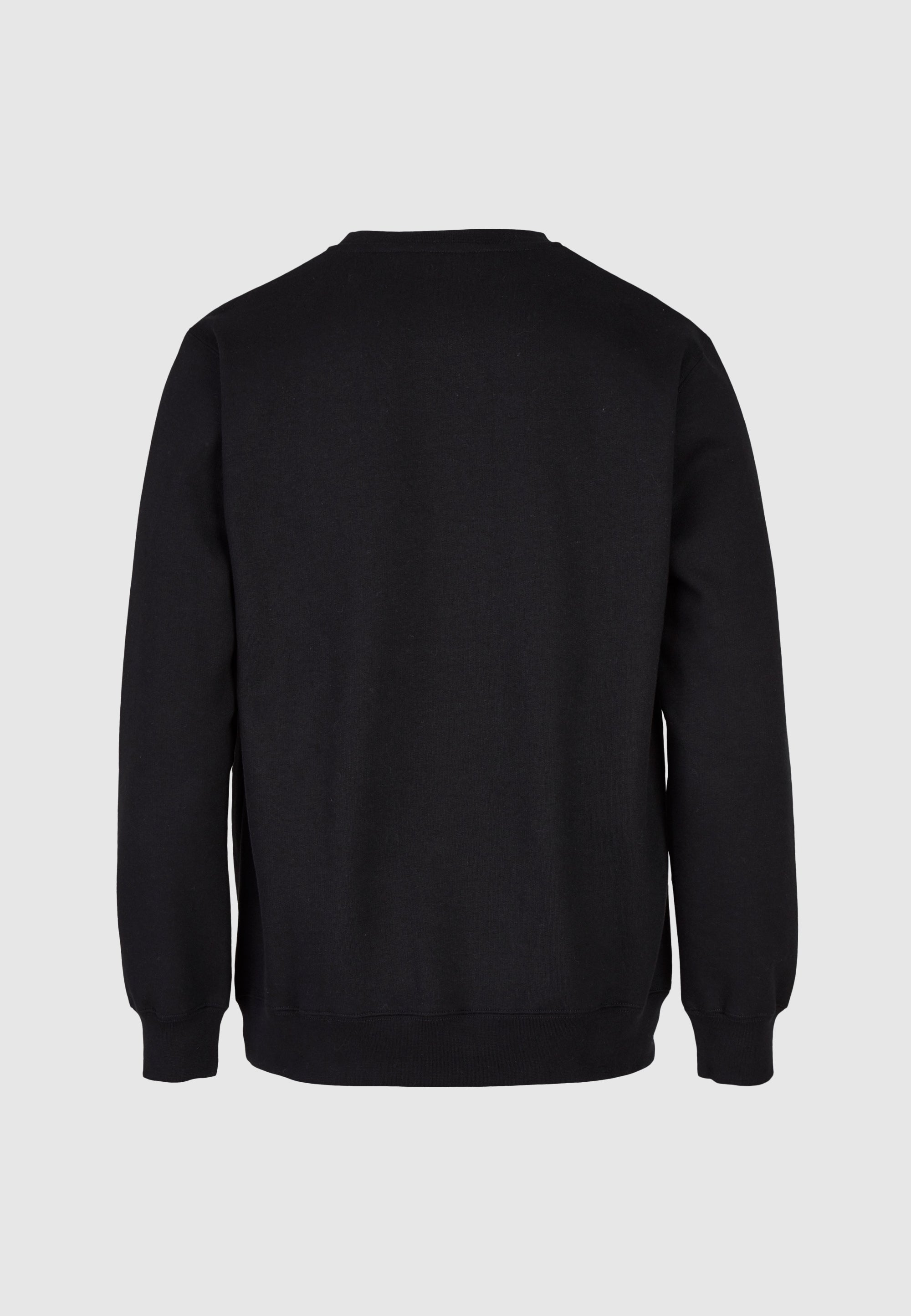cleptomanicx-embro-gull-regular-crewneck-stickerei image 6