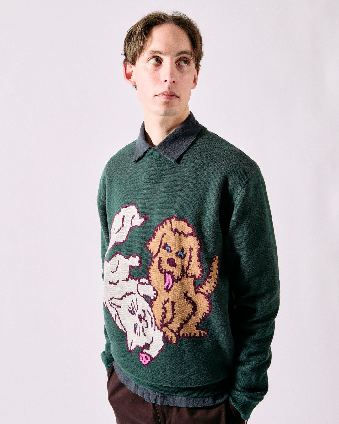 cleptomanicx-crewneck-cat-dog-pullover-bio image 2