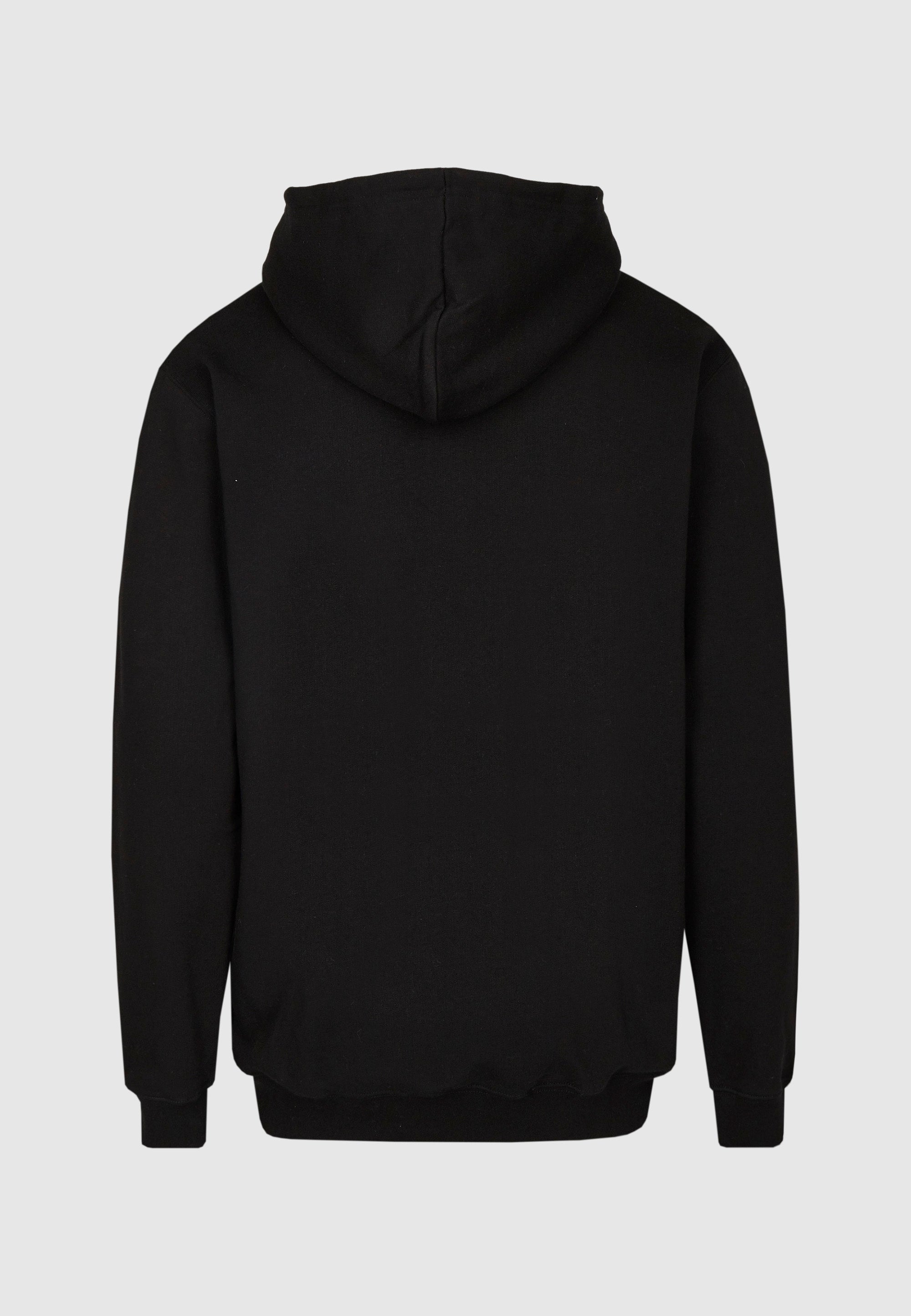 cleptomanicx-embro-gull-2-hoodie-regular-fit-stickerei image 3