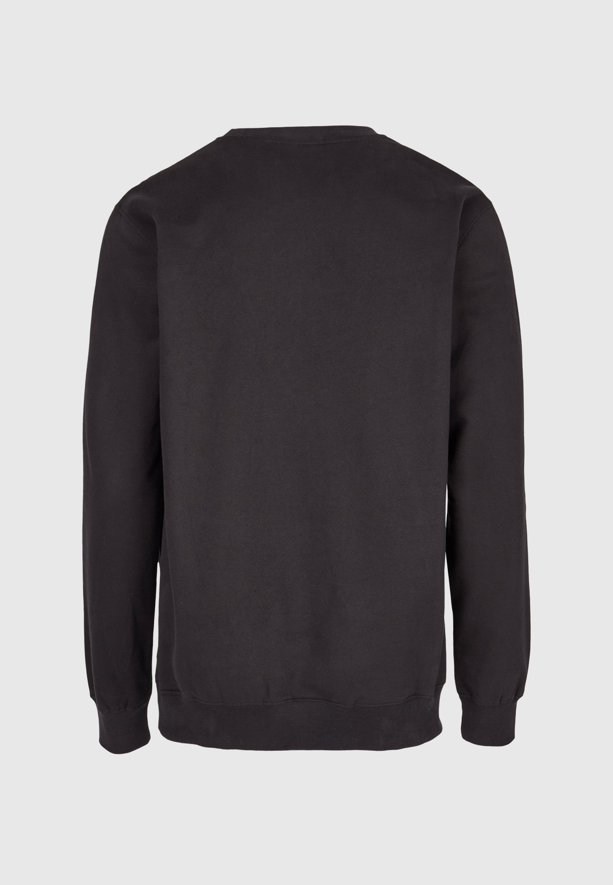 cleptomanicx-ligull-regular-crewneck-pullover-bio-baumwolle-3 image 6