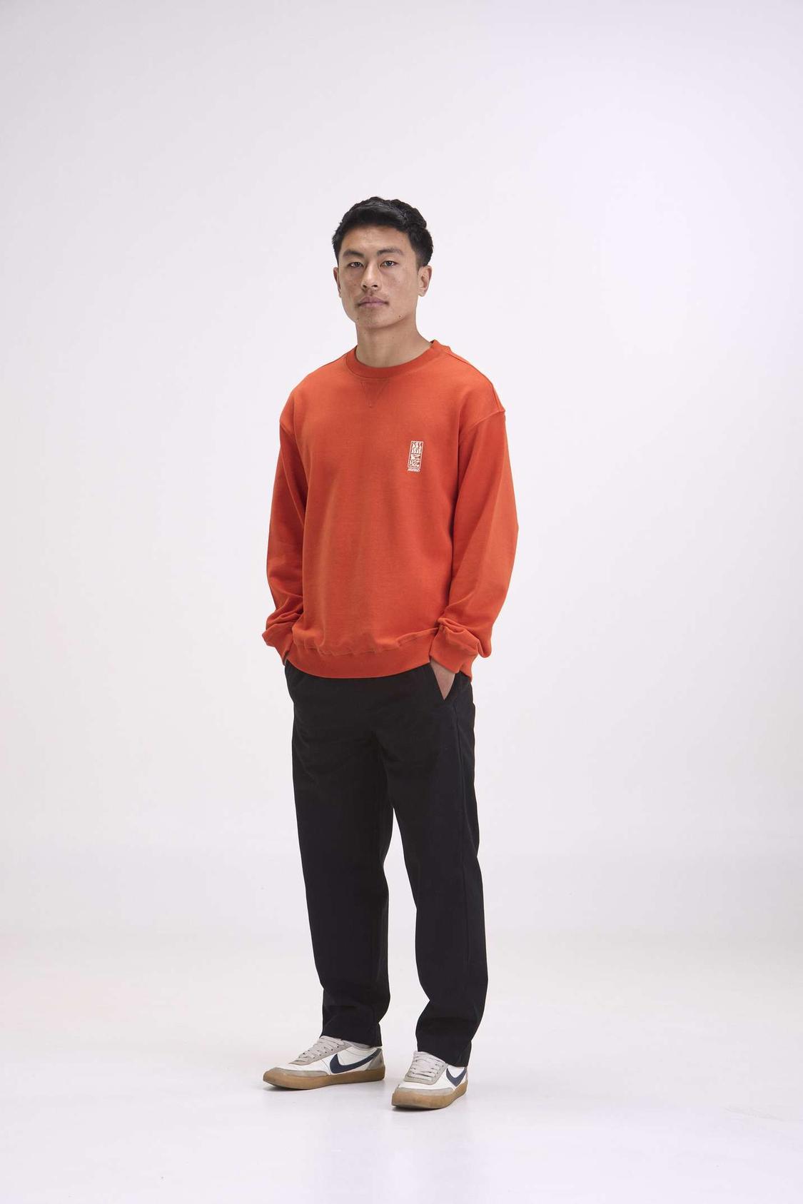 arniko-sweater-mustang-orange-pullover-herren-bio-baumwolle-print image 3