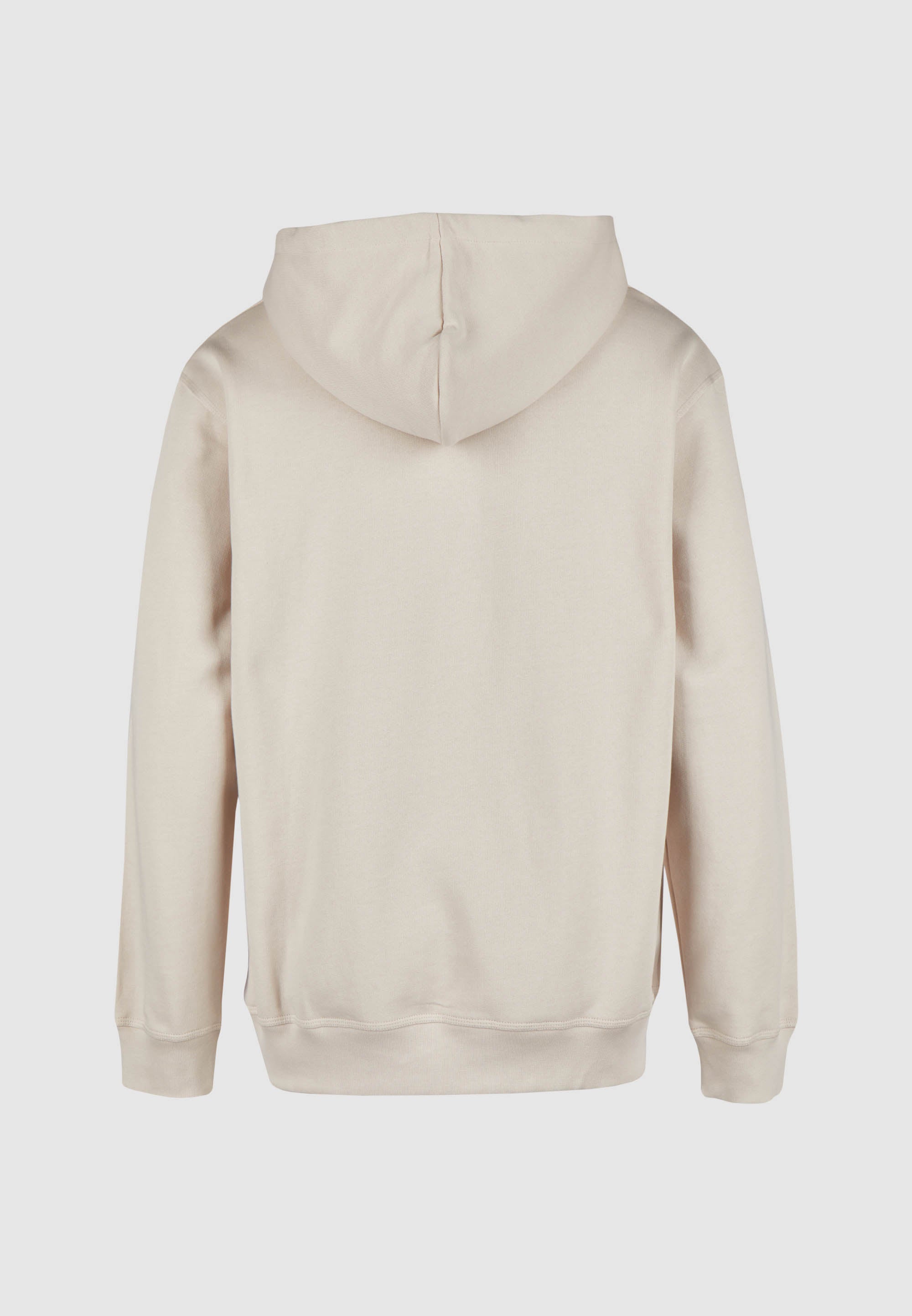 cleptomanicx-embro-gull-mono-hoodie-bio-baumwolle image 6