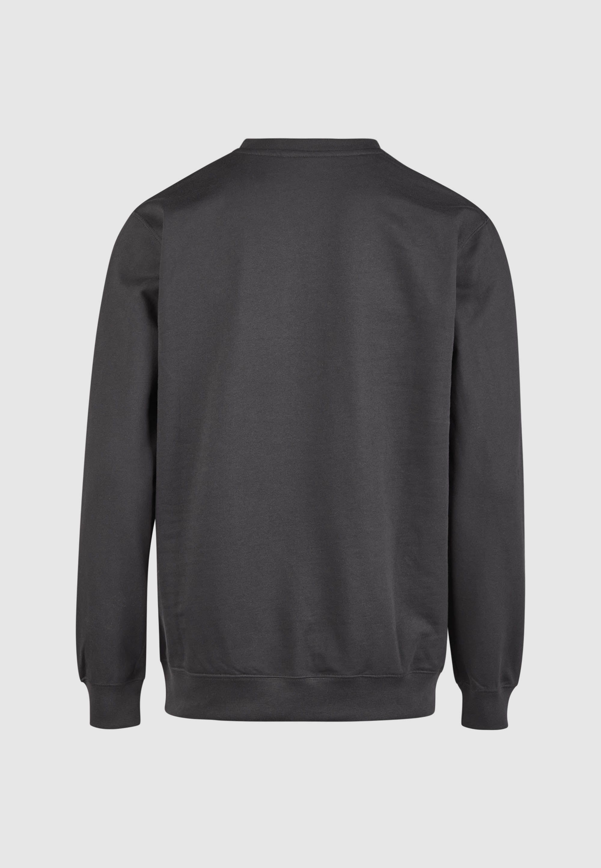 cleptomanicx-embro-gull-regular-crewneck-sweatshirt-bio-2 image 6
